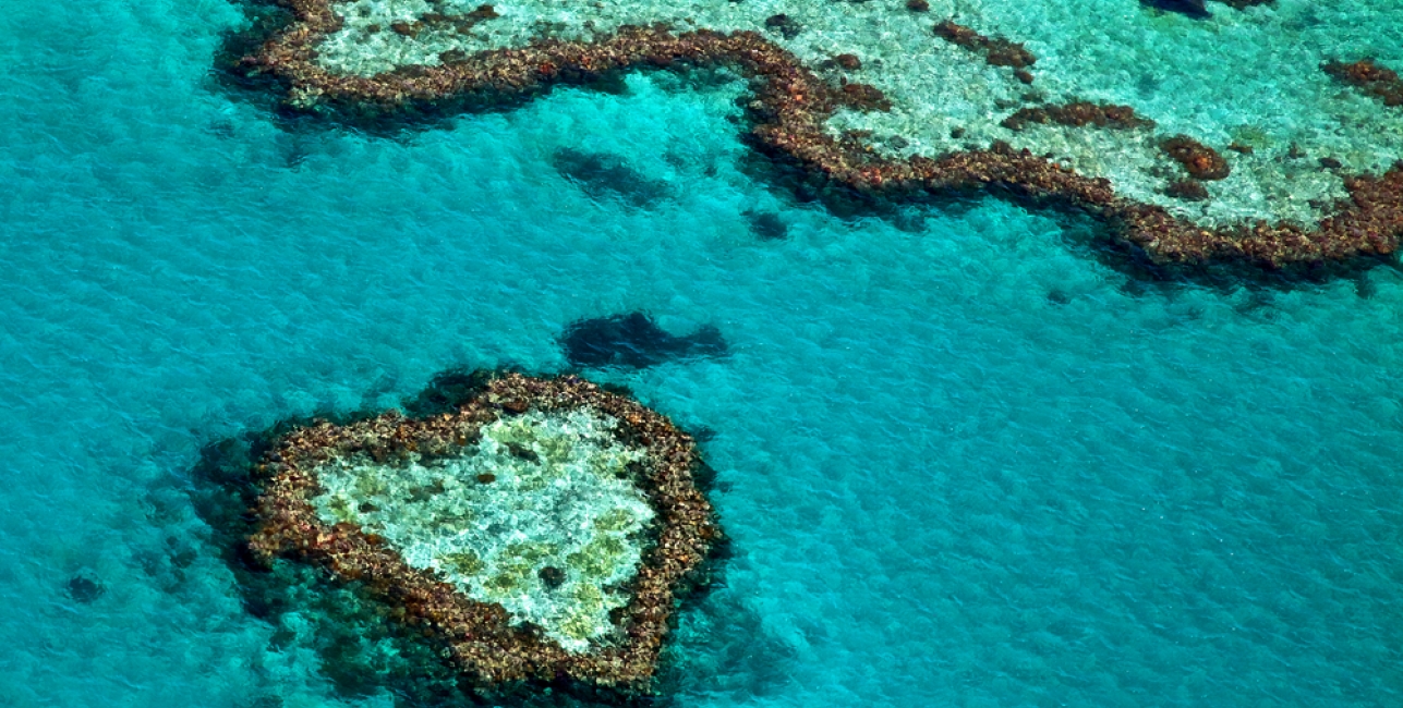 Queensland Coastal Experience from Cairns