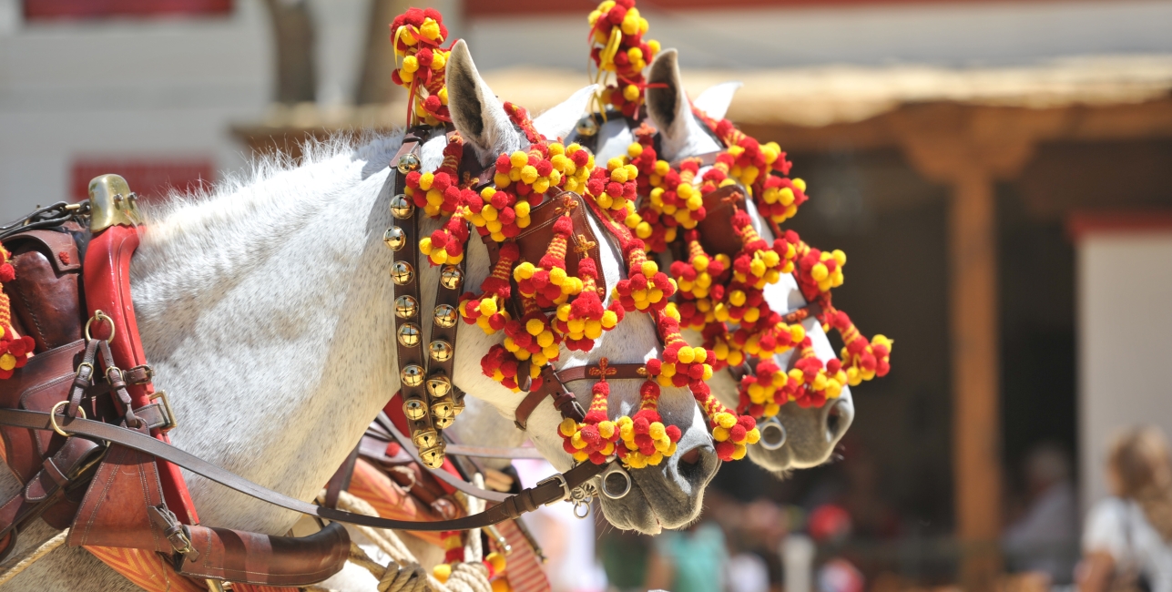 seville-spain-spanish-horses_1658398363_web