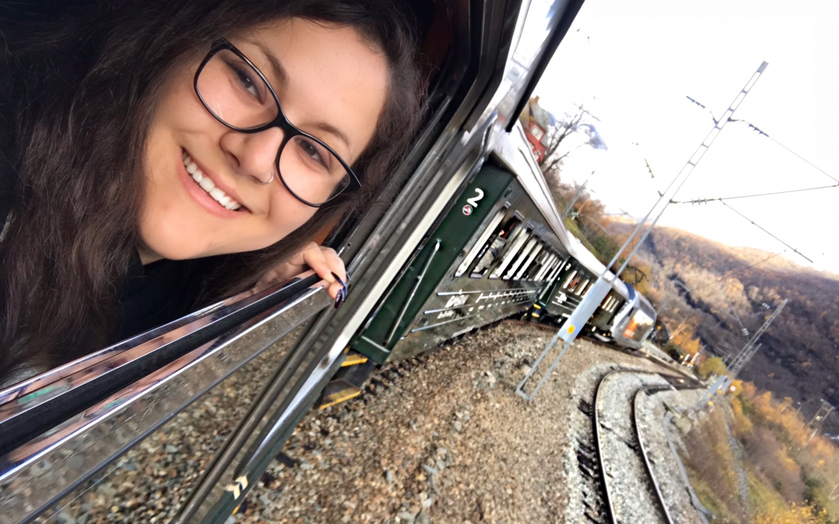 rail insider on Flam Railway in Flam, norway