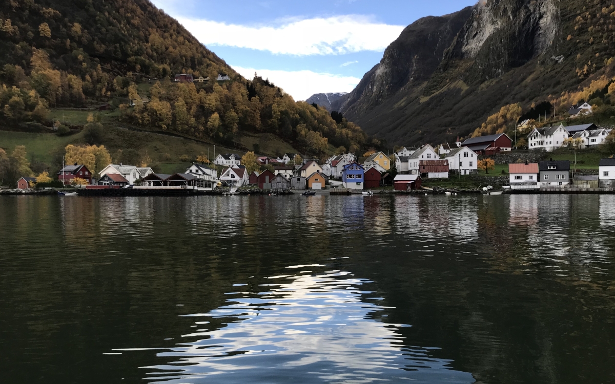 norwegian-fjord-norway-flamsbana