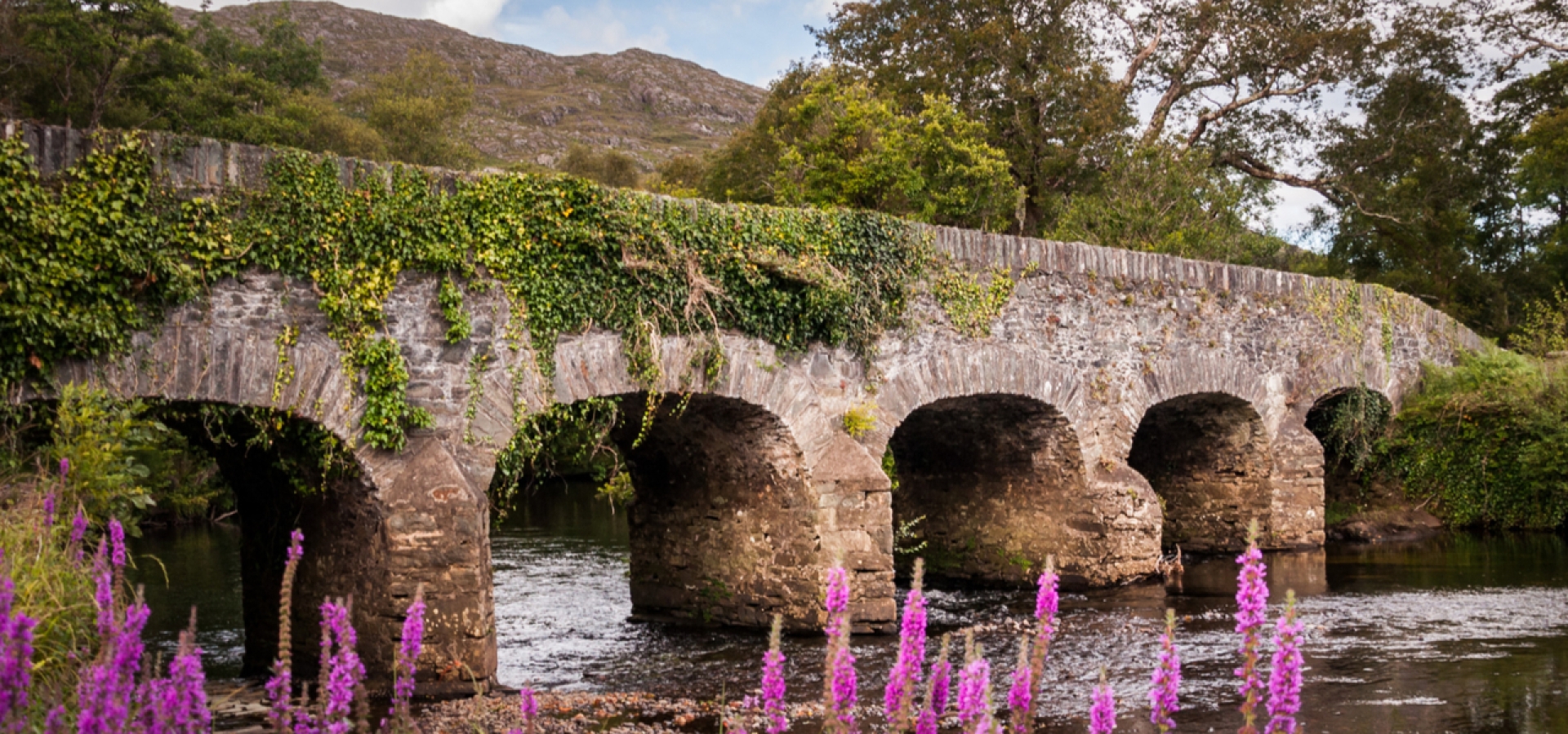 Bridge in Killarney National Park 1800x600