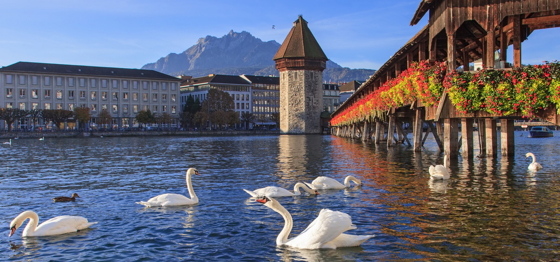 Lucerne-Chapel-Bridge Lucerne chapel bridge