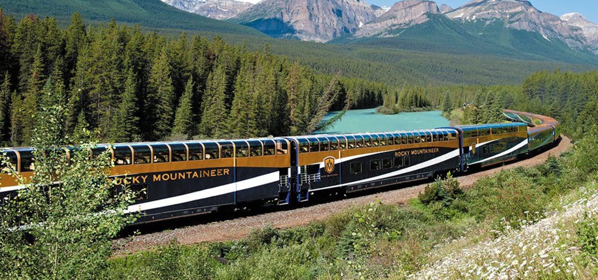 Navy blue and Gold train carriages on the track passing lake