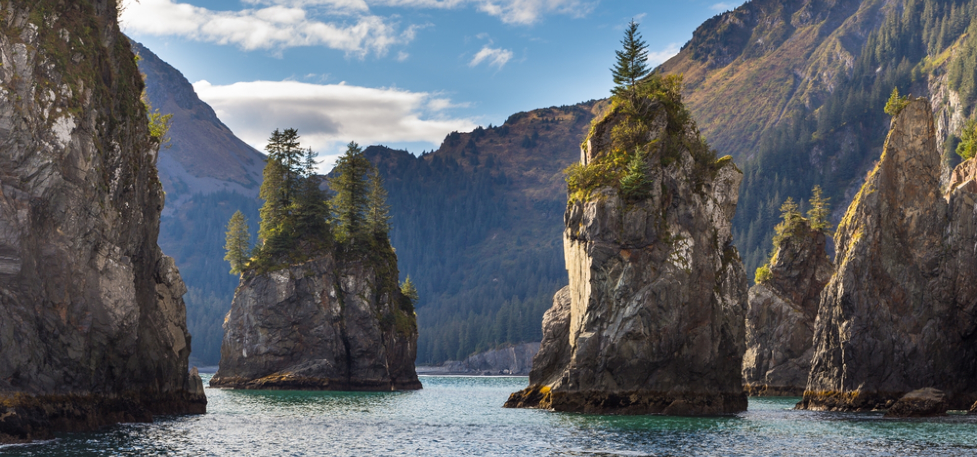 Kenai Fjords National Park
