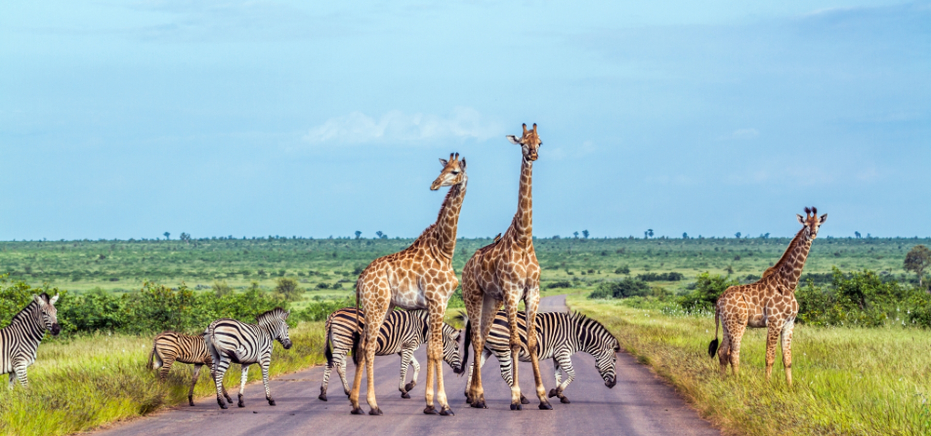 Kruger National Park by Rail - Kruger National Park Train Vacations